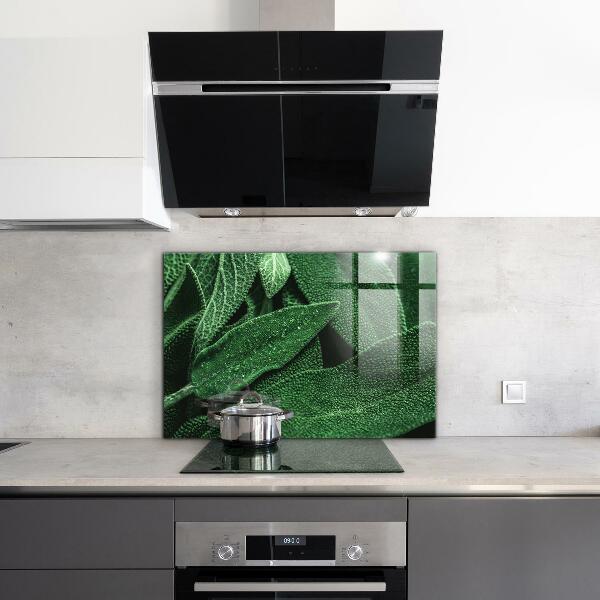 Panou sticlă bucătărie Frunze verzi după ploaie