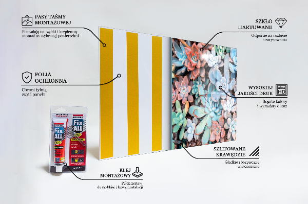 Panou sticlă bucătărie Suculente colorate