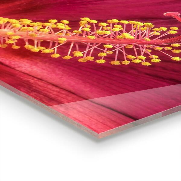 Panou sticlă bucătărie Hibiscus roz