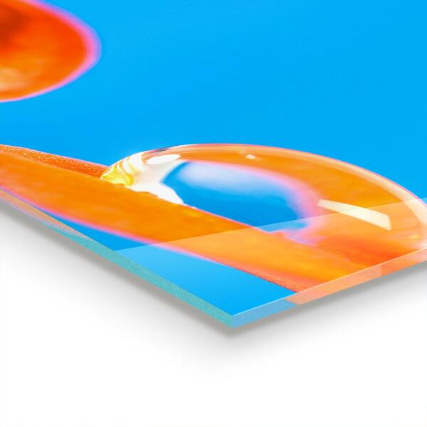 Panou sticlă bucătărie Floare portocalie