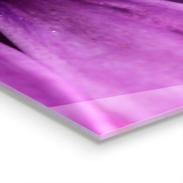 Panou sticlă bucătărie Floare de vară violet