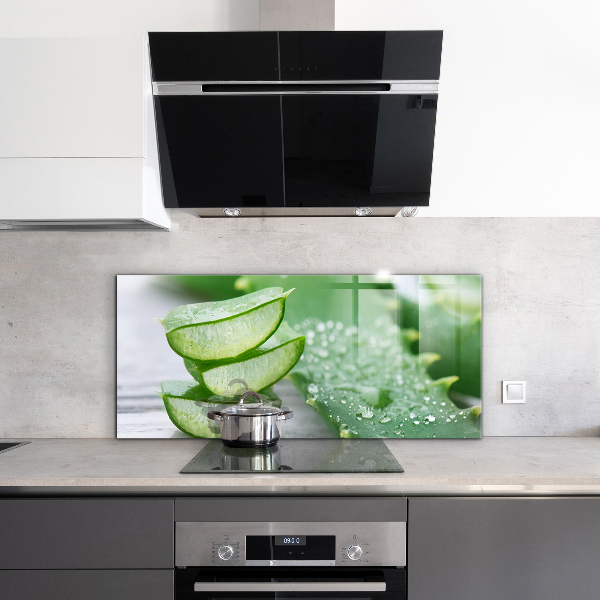 Panou sticlă bucătărie Aloe aloe vera plant