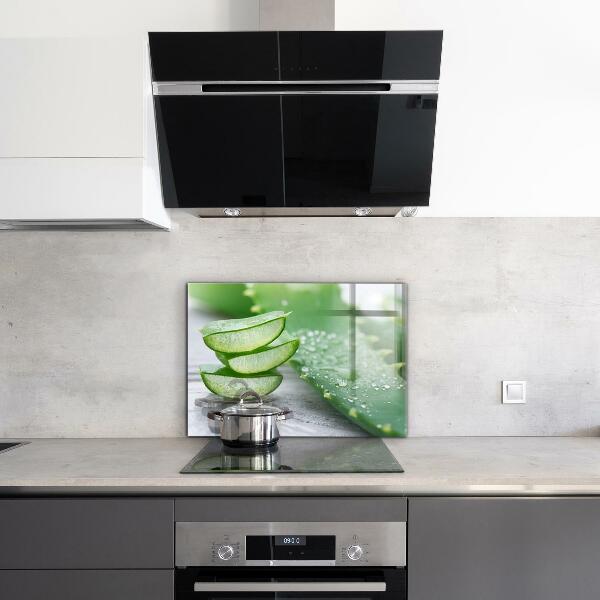 Panou sticlă bucătărie Aloe aloe vera plant