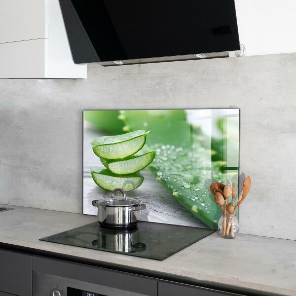 Panou sticlă bucătărie Aloe aloe vera plant