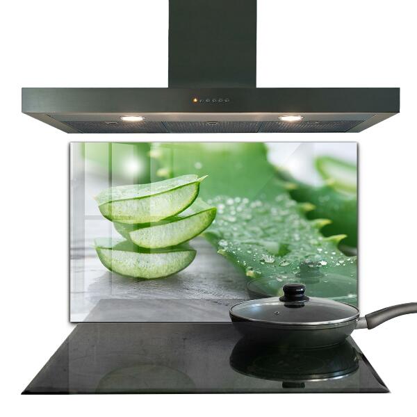 Panou sticlă bucătărie Aloe aloe vera plant