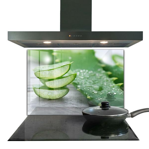 Panou sticlă bucătărie Aloe aloe vera plant