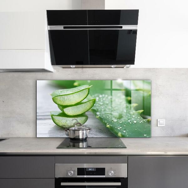 Panou sticlă bucătărie Aloe aloe vera plant