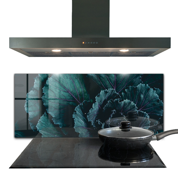 Panou sticlă bucătărie Frunze de varză verde închis