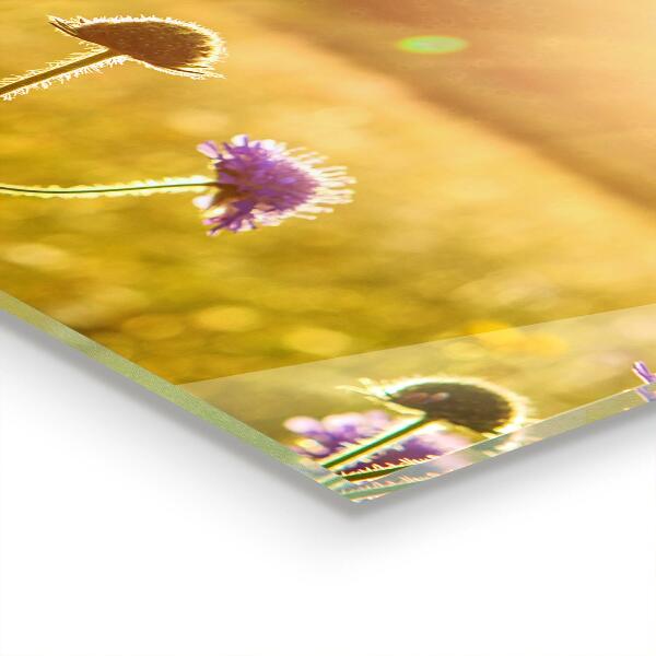 Panou sticlă bucătărie Lunca înflorită de vară