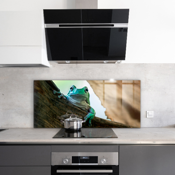 Sticlă bucătărie Broasca curios pe o frunză