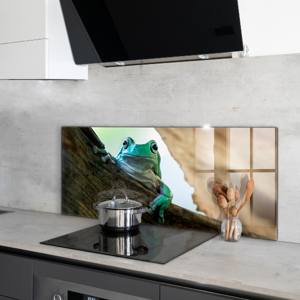 Sticlă bucătărie Broasca curios pe o frunză