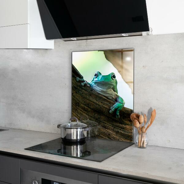 Sticlă bucătărie Broasca curios pe o frunză