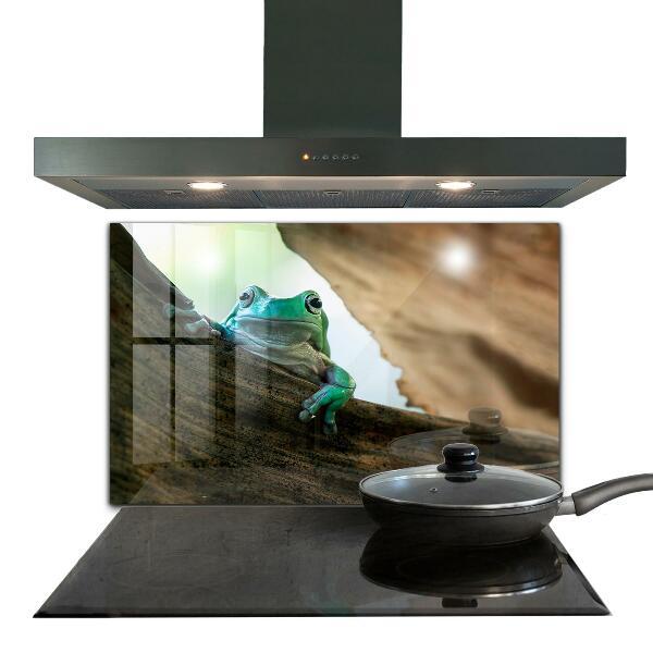 Sticlă bucătărie Broasca curios pe o frunză