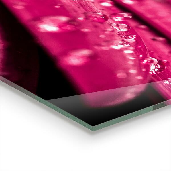 Panou sticlă bucătărie Floare de plante roz