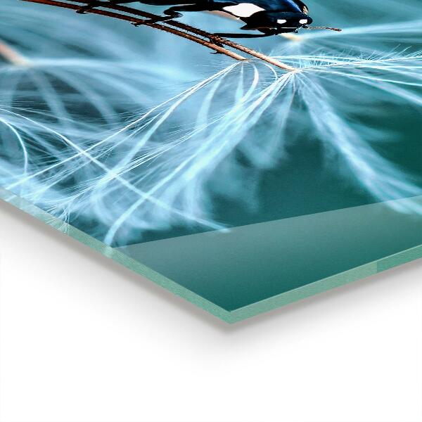 Sticlă bucătărie Buburuza gândacul roșu