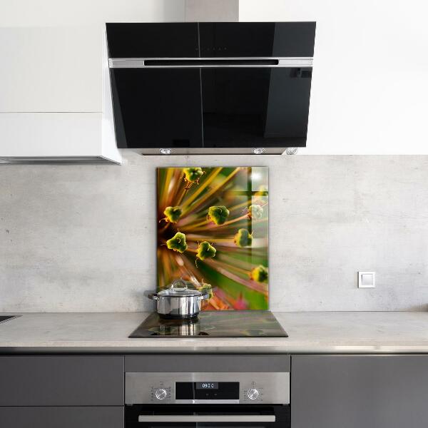 Panou sticlă bucătărie Fotografie macro de flori