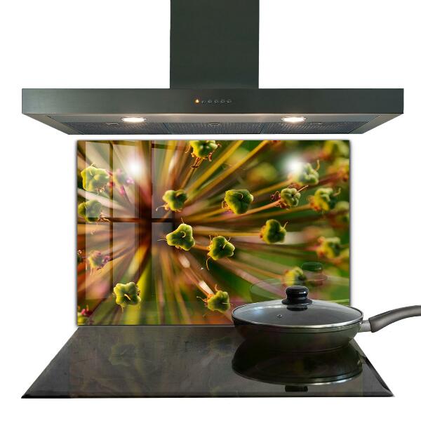 Panou sticlă bucătărie Fotografie macro de flori