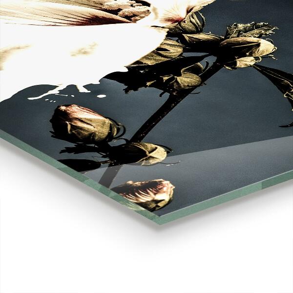 Panou sticlă bucătărie Floare albă abstractă