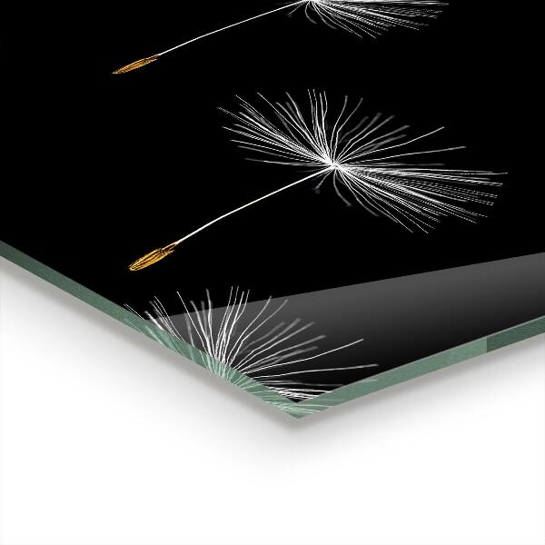 Panou sticlă bucătărie Păpădie în vânt