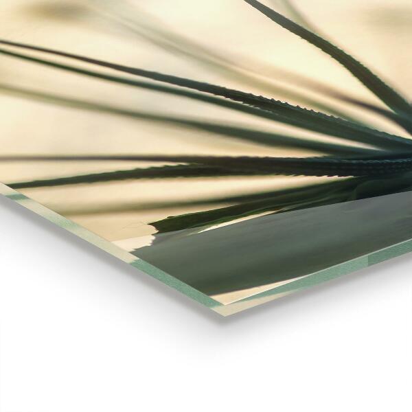 Panou sticlă bucătărie Frumoasă păpădie delicată