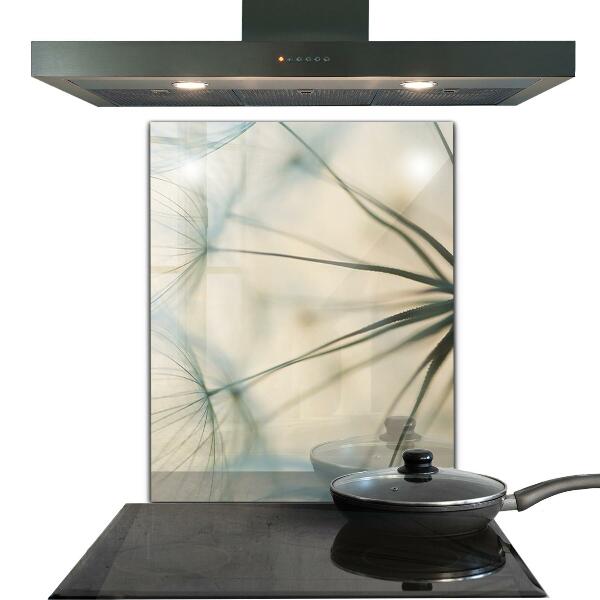 Panou sticlă bucătărie Frumoasă păpădie delicată