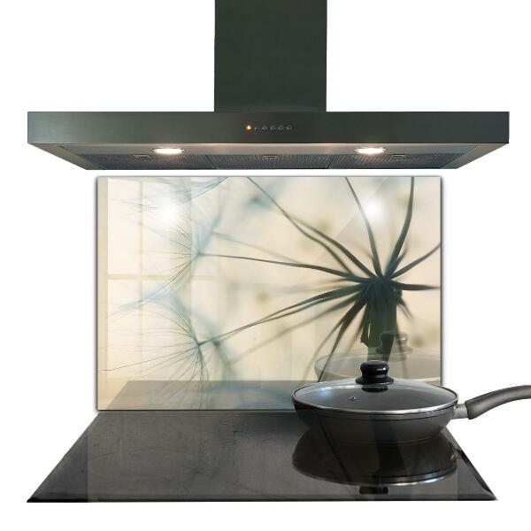 Panou sticlă bucătărie Frumoasă păpădie delicată