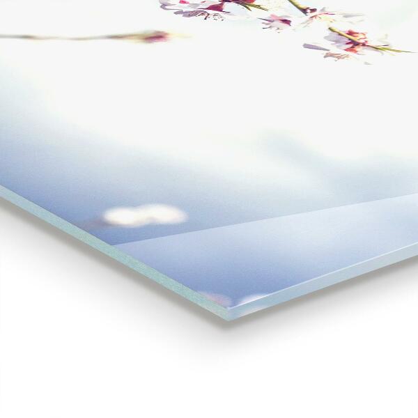 Panou sticlă bucătărie Flori roz delicate