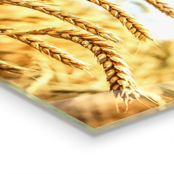 Panou sticlă bucătărie Daruri de cereale ale mamei natură