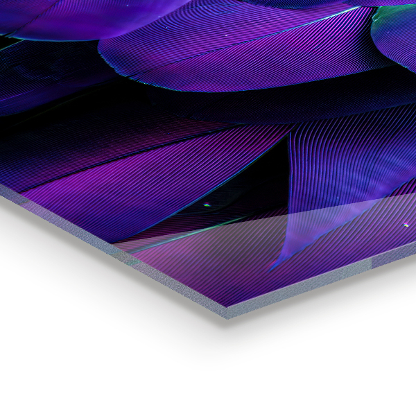 Sticlă pentru bucătărie Pene de păsări exotice