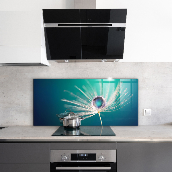 Panou sticlă bucătărie Păpădie cu picătură de rouă