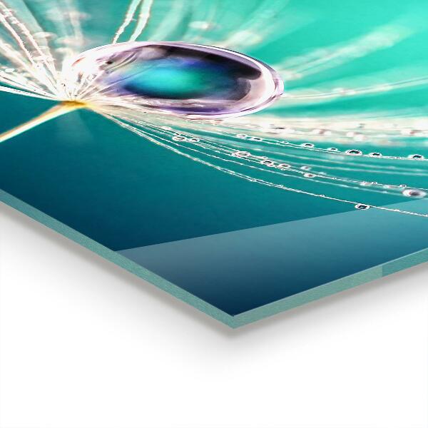 Panou sticlă bucătărie Păpădie cu picătură de rouă