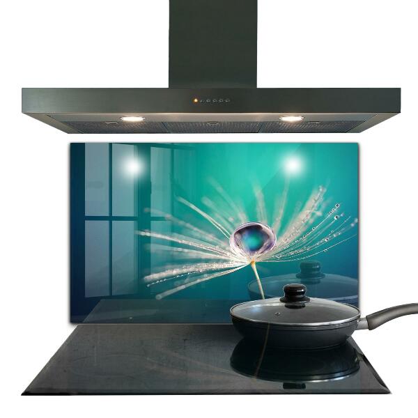 Panou sticlă bucătărie Păpădie cu picătură de rouă