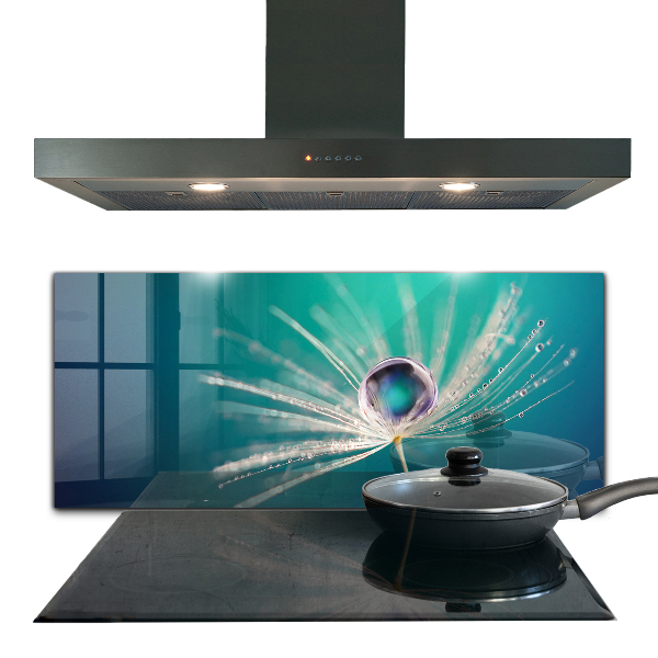 Panou sticlă bucătărie Păpădie cu picătură de rouă