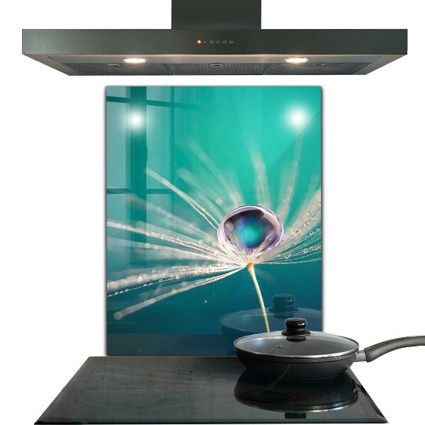 Panou sticlă bucătărie Păpădie cu picătură de rouă