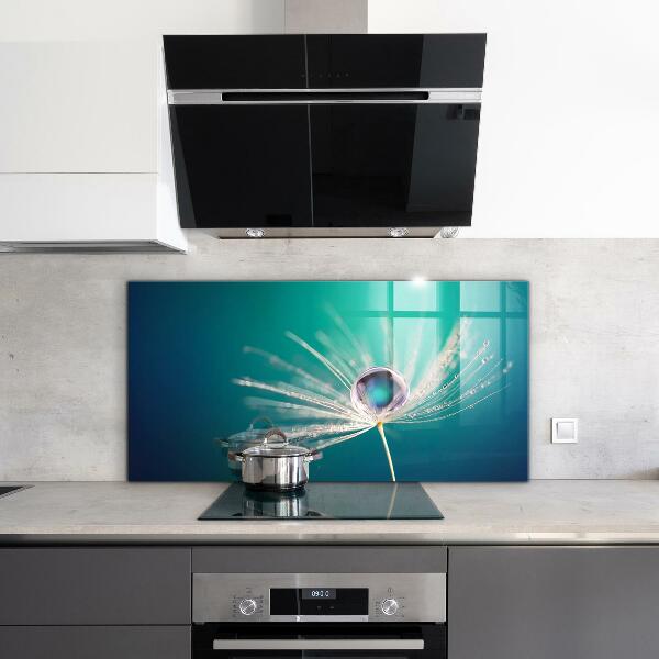 Panou sticlă bucătărie Păpădie cu picătură de rouă