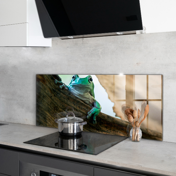 Sticlă bucătărie Portret de broască africană