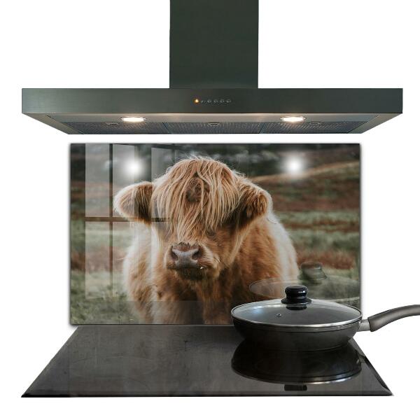 Sticlă bucătărie Vaca în stil cabană din highland