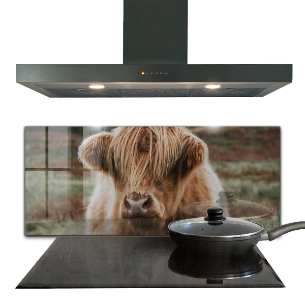 Sticlă bucătărie Vaca în stil cabană din highland
