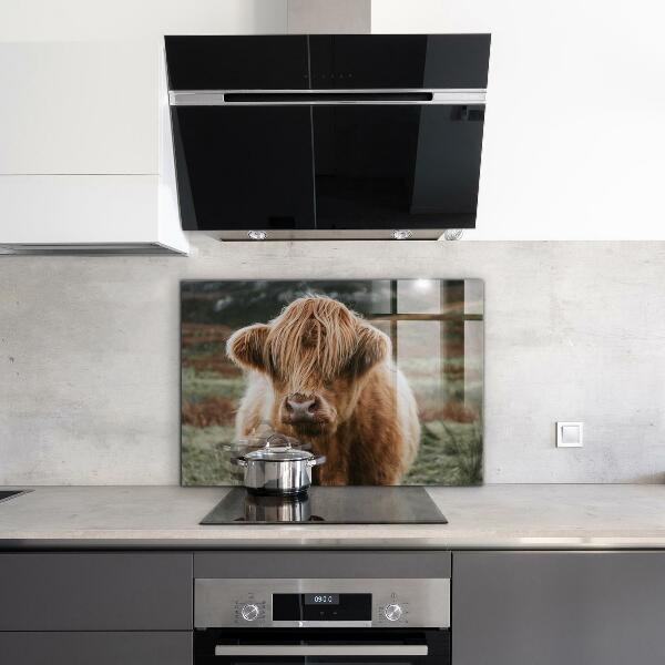 Sticlă bucătărie Vaca în stil cabană din highland