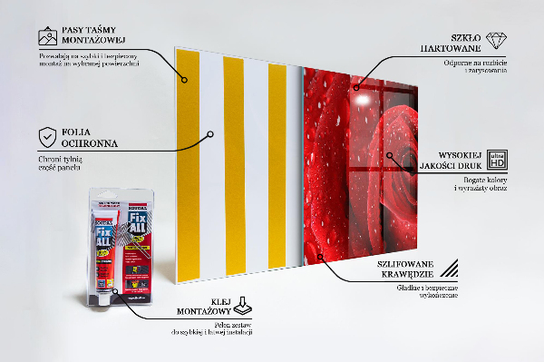 Sticlă printata bucătărie Picături de rouă pe un trandafir roșu