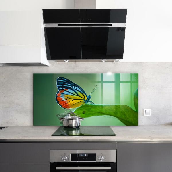 Sticlă bucătărie Fluture sprijinit pe o frunză