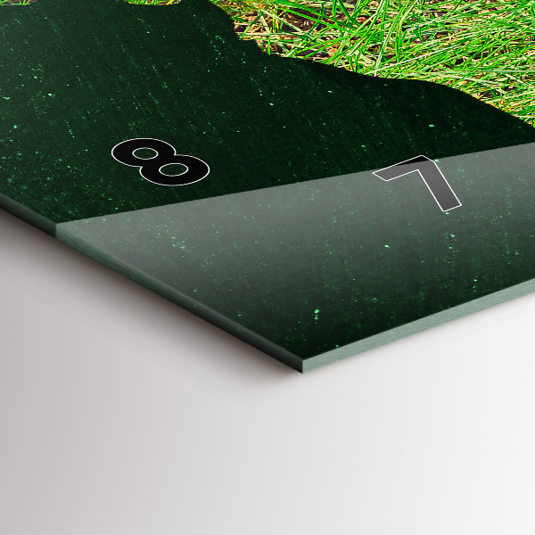 Ceas orizontale de perete din sticlă Harta lumii ierboase