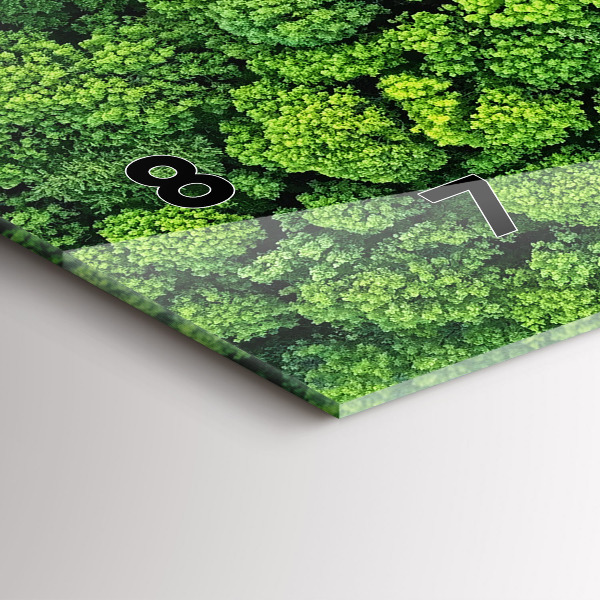 Ceas orizontale de perete din sticlă Pădure din vedere de ochi de pasăre