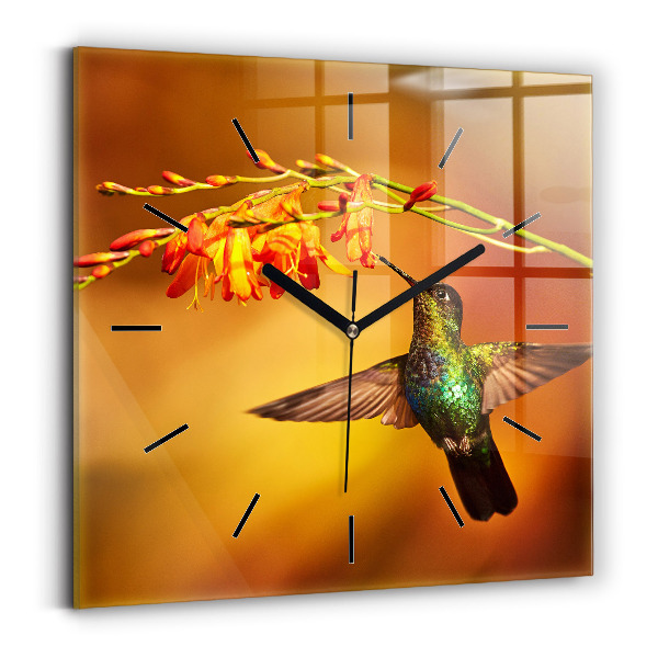 Ceas pătrat de perete din sticlă Pasăre colibri