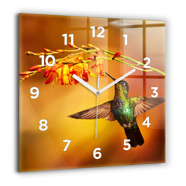 Ceas pătrat de perete din sticlă Pasăre colibri