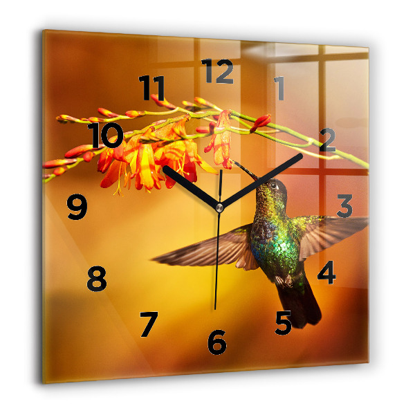 Ceas pătrat de perete din sticlă Pasăre colibri