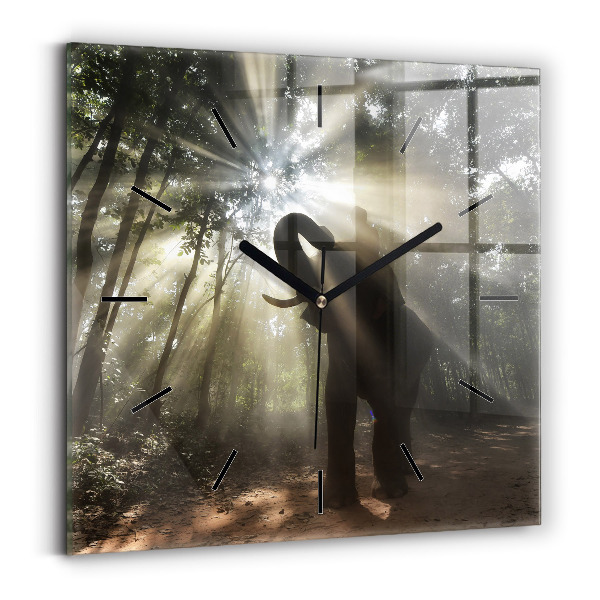 Ceas pătrat de perete din sticlă Elefant în junglă