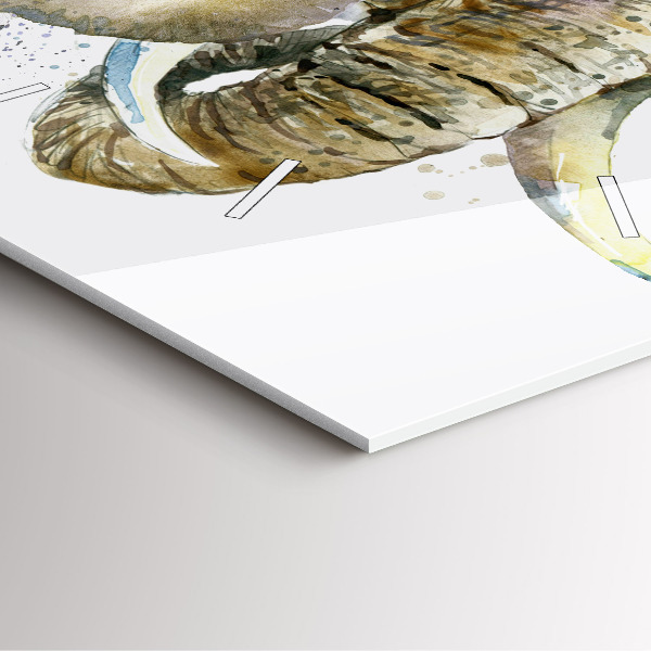 Ceas pătrat de perete din sticlă Animalele elefanți pictate