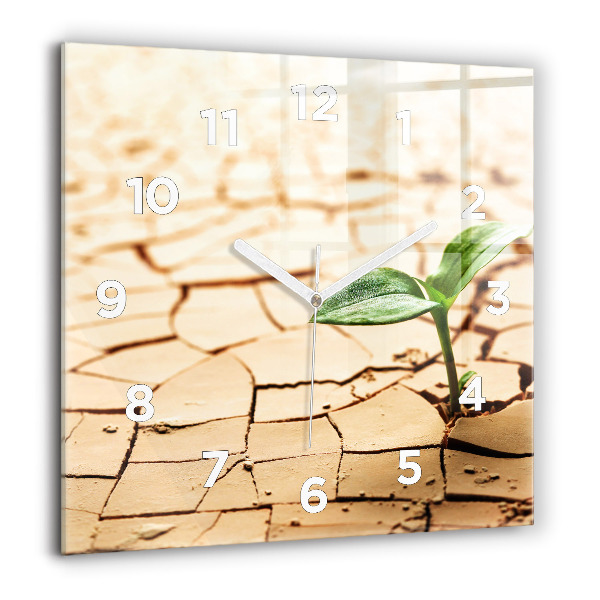 Ceas pătrat de perete din sticlă Plantați în sol uscat