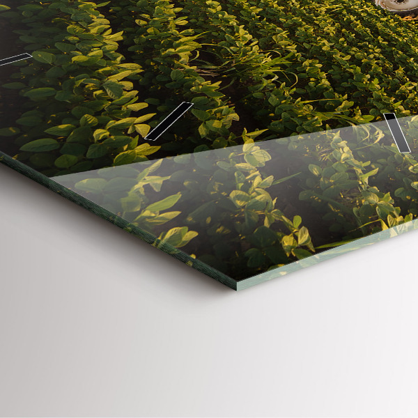 Ceas pătrat de perete din sticlă Tractor într-un câmp agricol